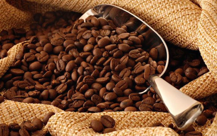 CAFE TAL - ¿Conoces la diferencia entre el grano robusta y arábica? En Café  Tal contamos con ambos granos, ¡recién tostado, todos los días!😺